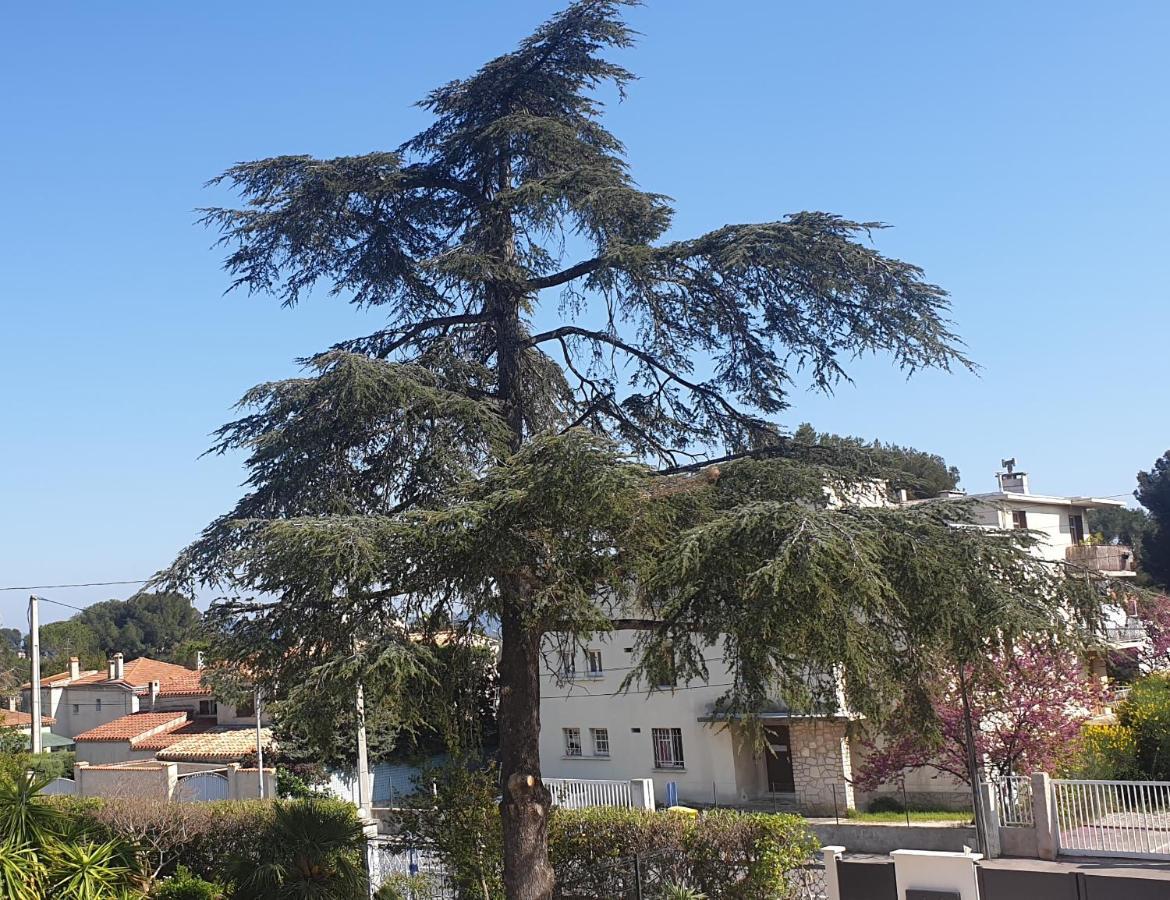 Les Vagues Bleues Διαμέρισμα Λα Σιοτά Εξωτερικό φωτογραφία